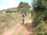 TERCERA ETAPA