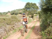 TERCERA ETAPA