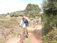 TERCERA ETAPA