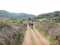 TERCERA ETAPA