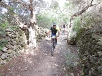 TERCERA ETAPA