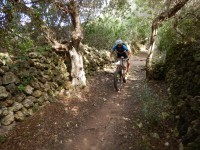 TERCERA ETAPA