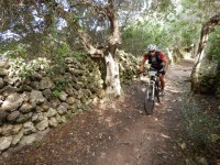 TERCERA ETAPA