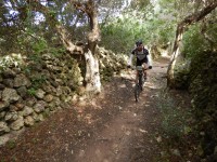 TERCERA ETAPA