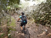 TERCERA ETAPA