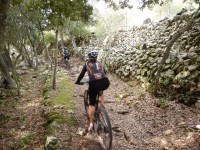 TERCERA ETAPA