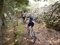 TERCERA ETAPA