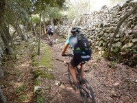 TERCERA ETAPA