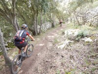 TERCERA ETAPA