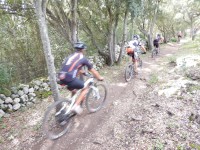 TERCERA ETAPA