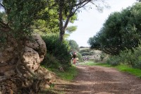 TERCERA ETAPA