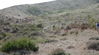 1ª Etapa