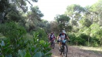 1ª Etapa