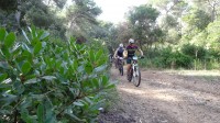 1ª Etapa