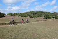 2ª Etapa