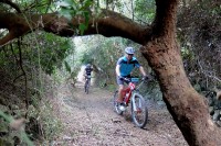 2ª Etapa