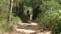3ª Etapa