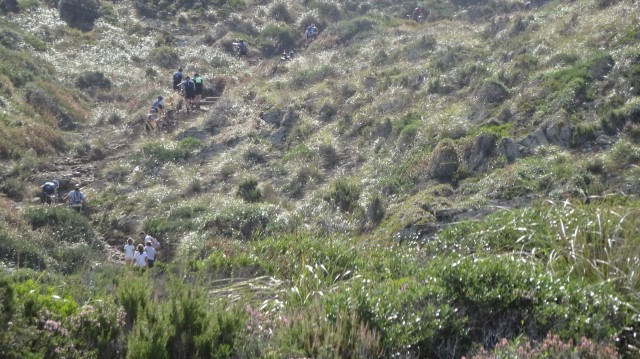 2ª Etapa