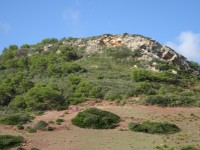 2ª Etapa