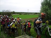 Fotos capturades per Toni Bosch