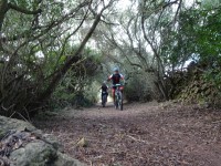 2ª Etapa