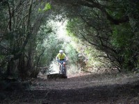 2ª Etapa
