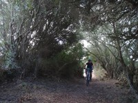 2ª Etapa
