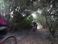 2ª Etapa