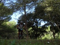 2ª Etapa