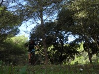 2ª Etapa