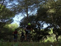 2ª Etapa