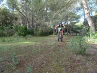 2ª Etapa