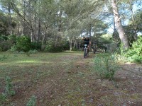 2ª Etapa
