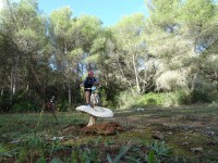2ª Etapa