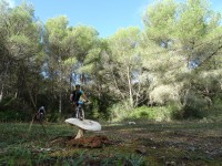 2ª Etapa