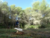2ª Etapa