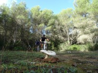 2ª Etapa