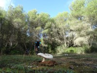 2ª Etapa