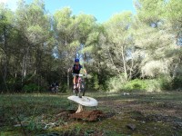 2ª Etapa