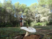 2ª Etapa