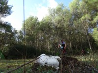 2ª Etapa