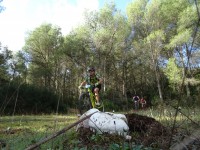2ª Etapa