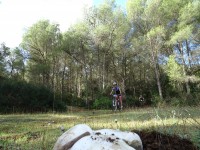 2ª Etapa