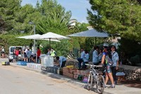 7ªVolta a Menorca BTT (Fotos Pere Català)