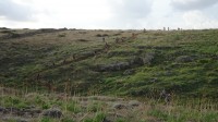 3ª Etapa