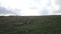 3ª Etapa