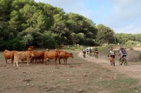 Etapa de Alaior, fotos Manolo Roselló