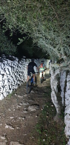 night stage, photos by Joan Bagur