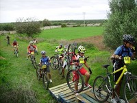 Fotos capturades per Toni Bosch