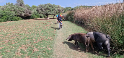 Menorca BTT